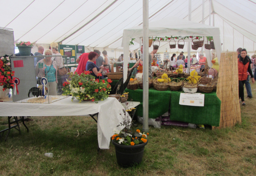 Tendring Show